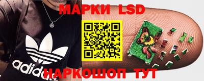 дмт Кулебаки