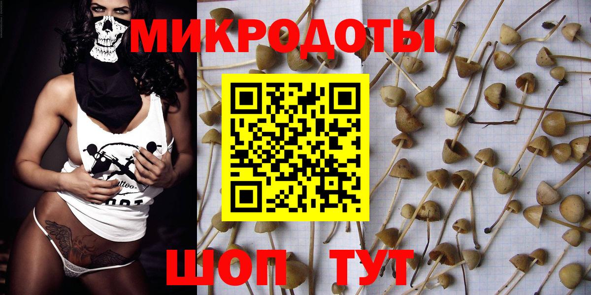 Галлюциногенные грибы Cubensis  Вход с VPN  Светлоград 